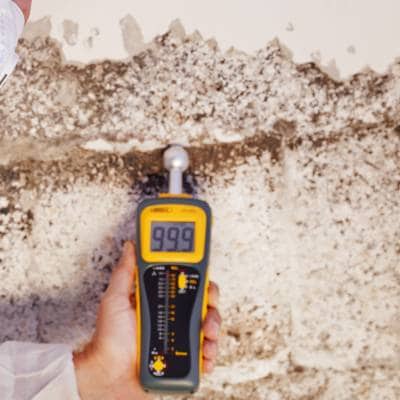 MOLD INSPECTIONS